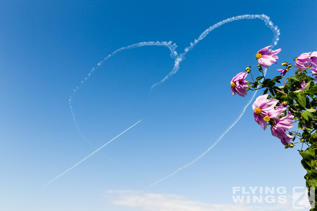 2014, Blue Impulse, JASDF, Japan, Tsuiki, airshow