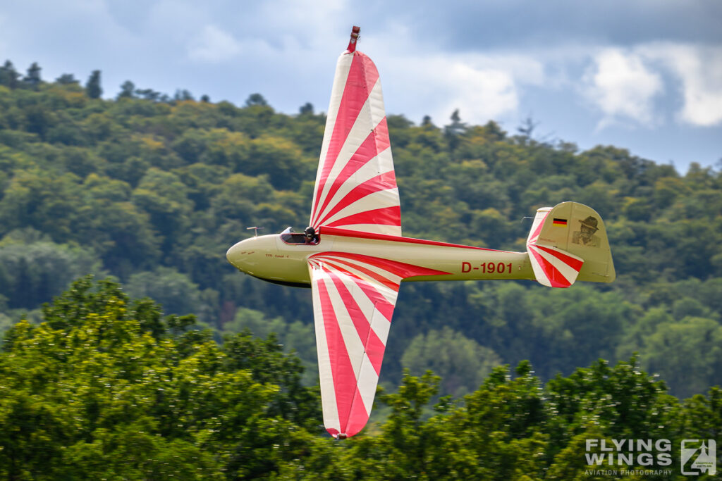 2025, DFS Habicht, Germany, Hahnweide, airshow