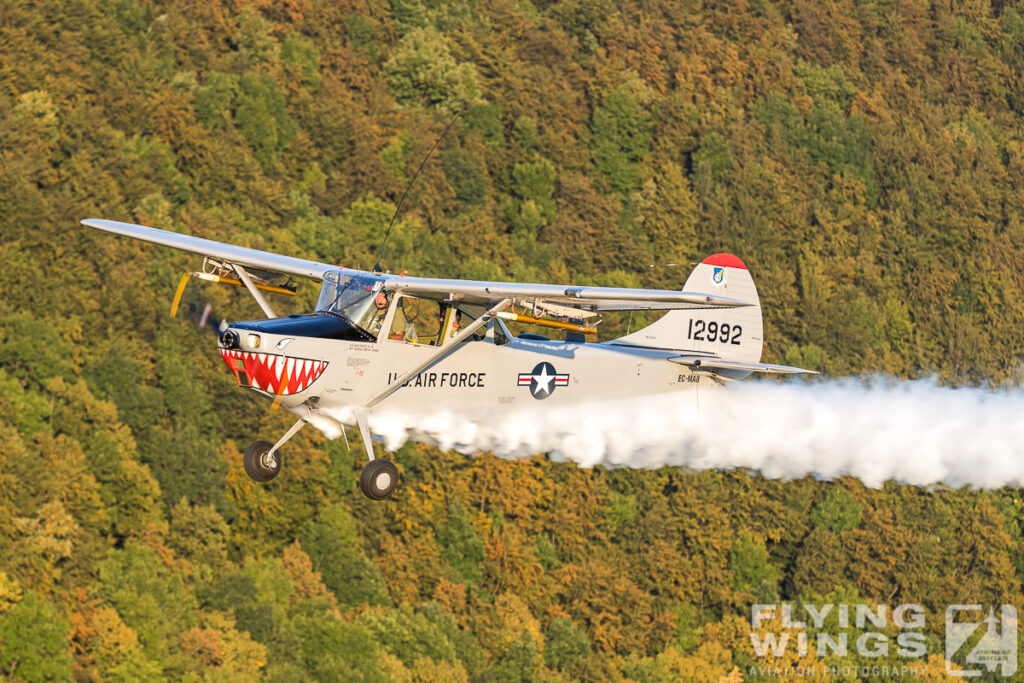 o 1 cessna o 1 bird dog  3547 zeitler 1024x683 - Cessna O-1E "Bird Dog" Vietnam Observer