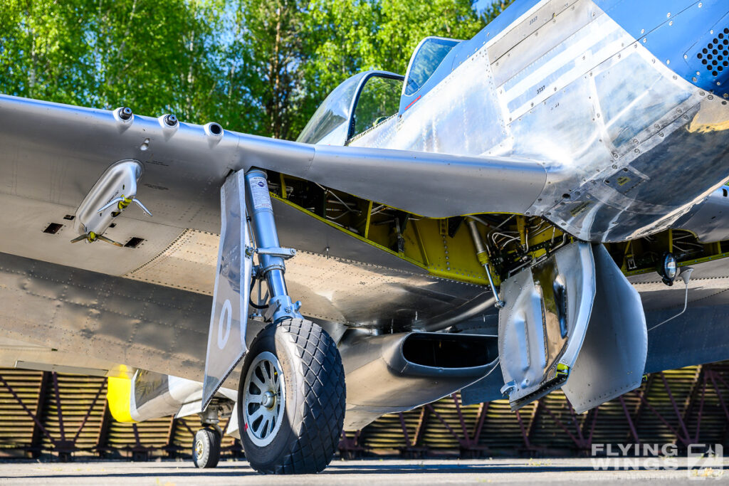 P-51 Mustang "Little Rebel": Honoring History Over Pilsen 20260501 details p 51 little rebel 0113 zeitler 1024x683 - P-51 Mustang "Little Rebel": Honoring History Over Pilsen