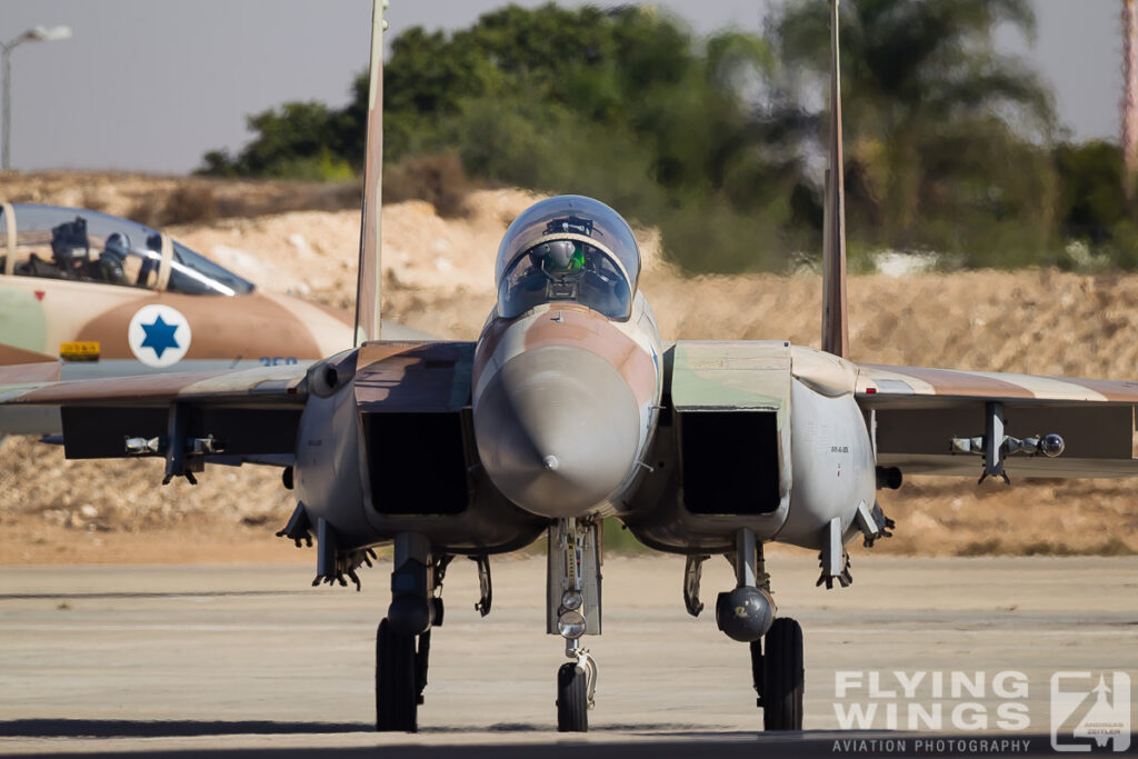 20121030 f 15i   5922 zeitler 1024x683 - Ra'ams, Ahits and Netz in action at Nevatim and Hatzerim