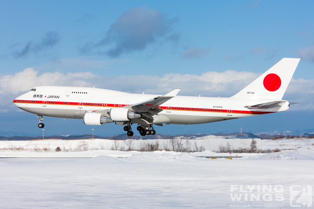 b744   6181 zeitler 1024x683 - Hokkaido Winter Eagles