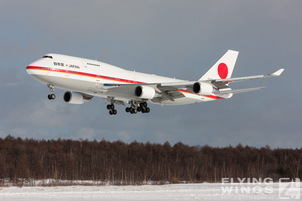 b744   6196 zeitler 1024x683 - Hokkaido Winter Eagles