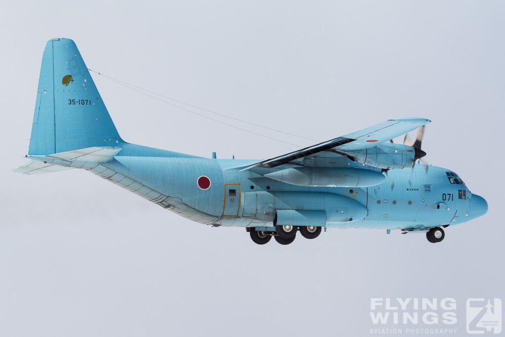 c 130   3832 zeitler 1024x683 - Hokkaido Winter Eagles