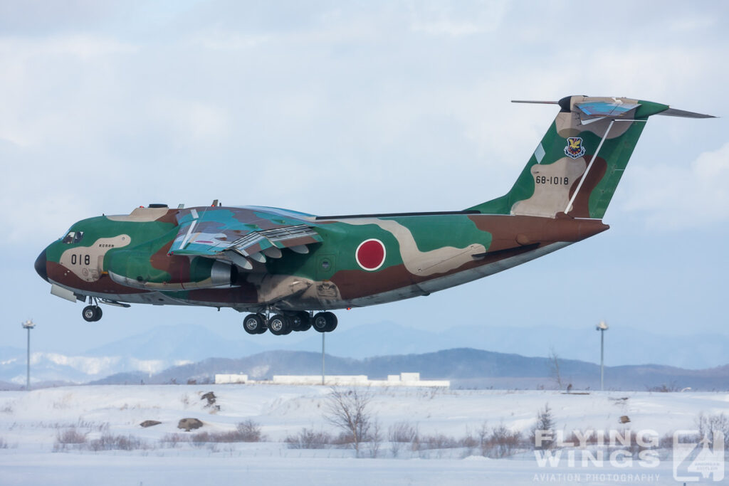 c 1   6148 zeitler 1024x683 - Hokkaido Winter Eagles