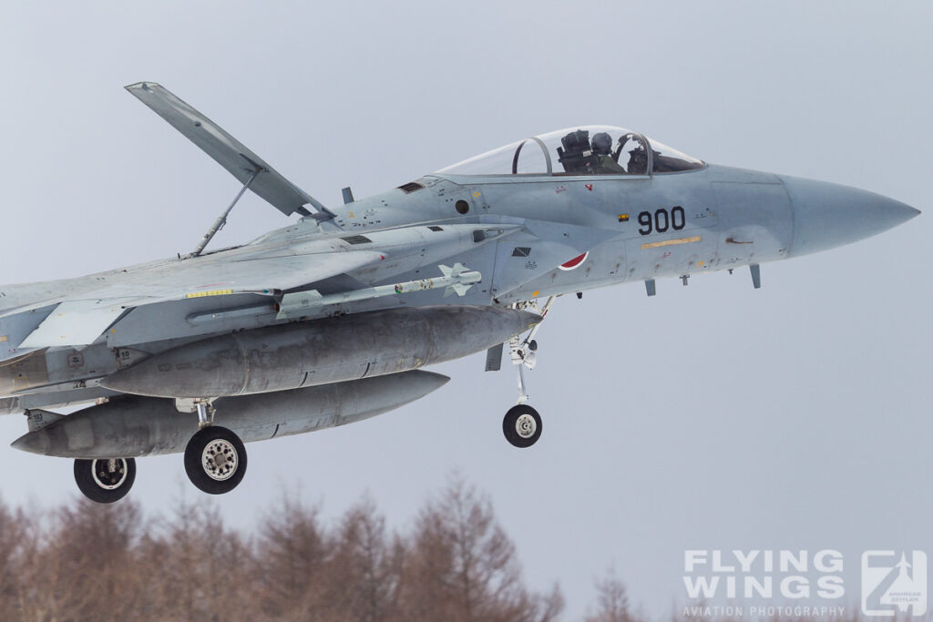 f 15   3838 zeitler 1024x683 - Hokkaido Winter Eagles