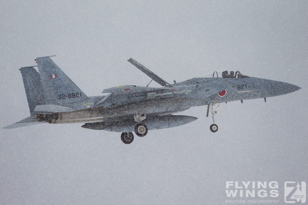 f 15   3873 zeitler 1024x683 - Hokkaido Winter Eagles