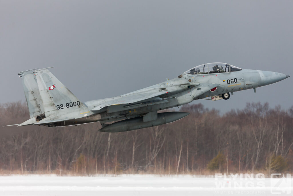 f 15   6029 zeitler 1024x683 - Hokkaido Winter Eagles