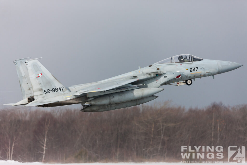 f 15   6047 zeitler 1024x683 - Hokkaido Winter Eagles