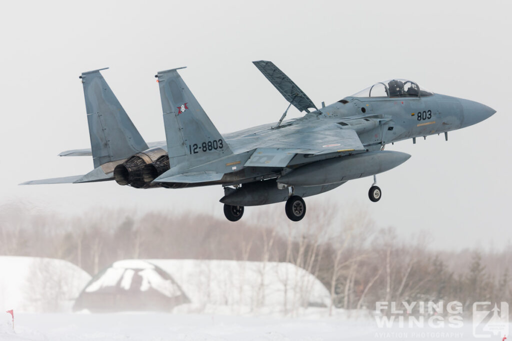 f 15   6066 zeitler 1024x683 - Hokkaido Winter Eagles