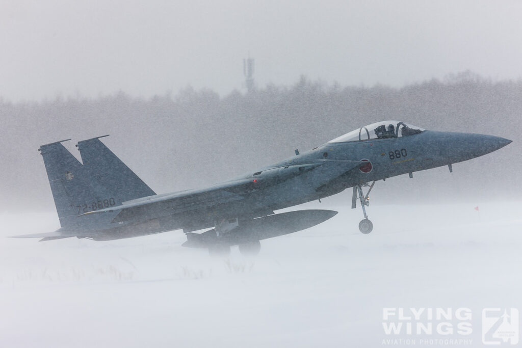 f 15   6116 zeitler 1024x683 - Hokkaido Winter Eagles