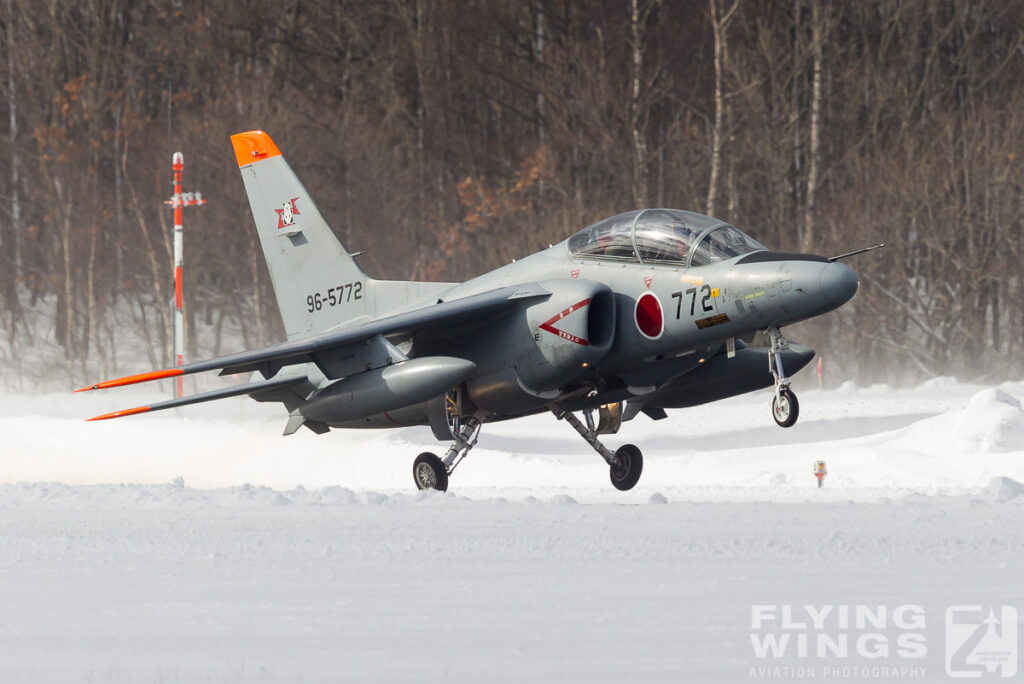 t 4   3778 zeitler 1024x684 - Hokkaido Winter Eagles