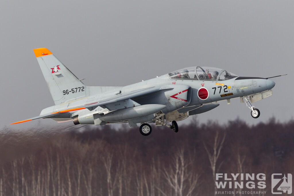 t 4   3789 zeitler 1024x683 - Hokkaido Winter Eagles