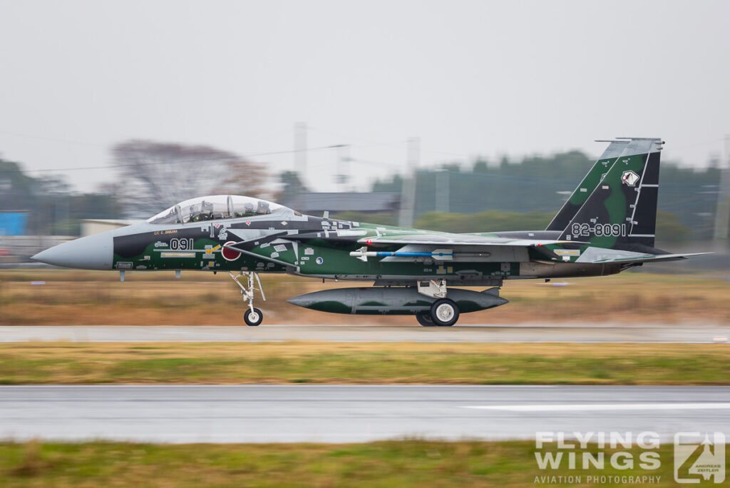 2014, JASDF, Japan, Nyutabaru