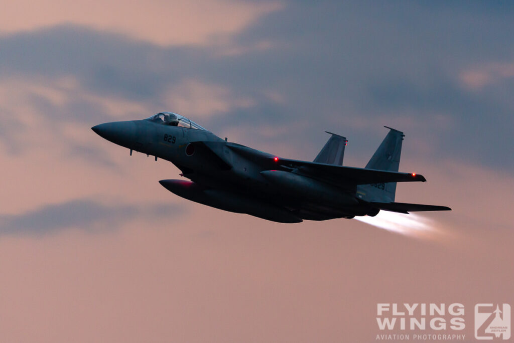 2014, Eagle, F-15, JASDF, Japan