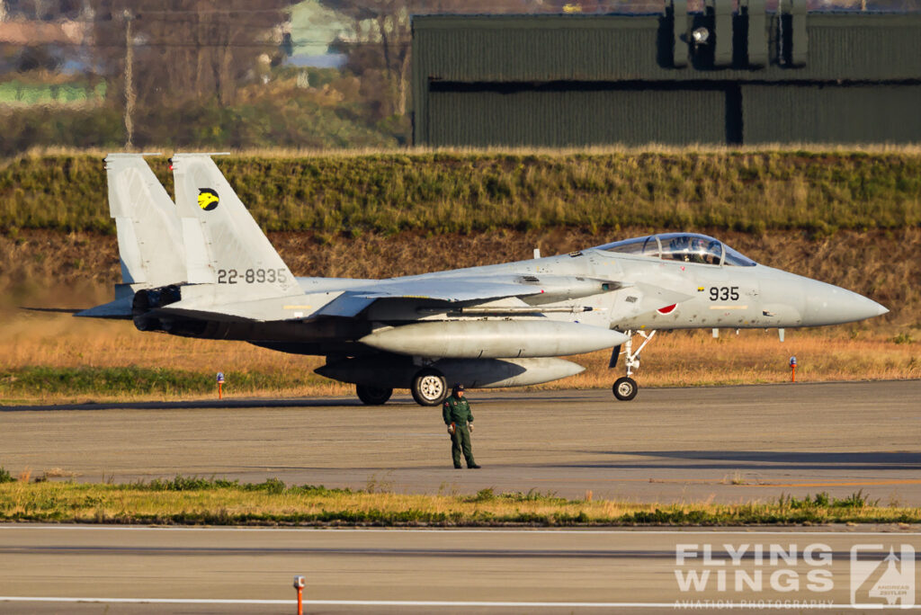 2014, Eagle, F-15, JASDF, Japan