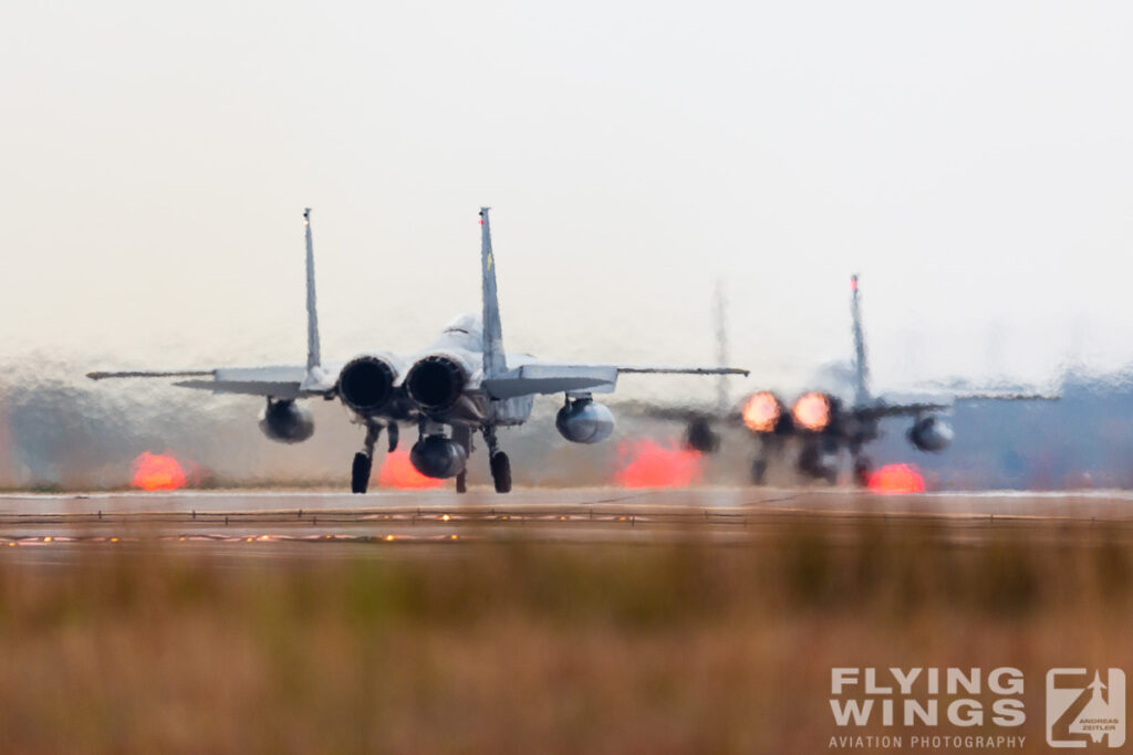 2014, Eagle, F-15, JASDF, Japan