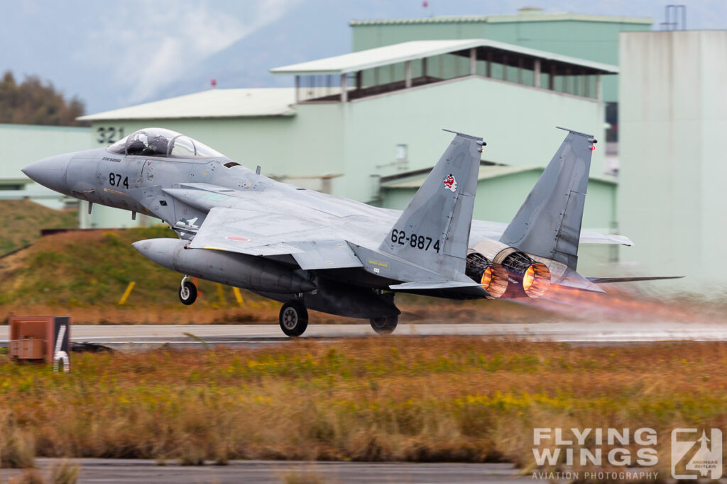 2014, Eagle, F-15, JASDF, Japan, Tsuiki