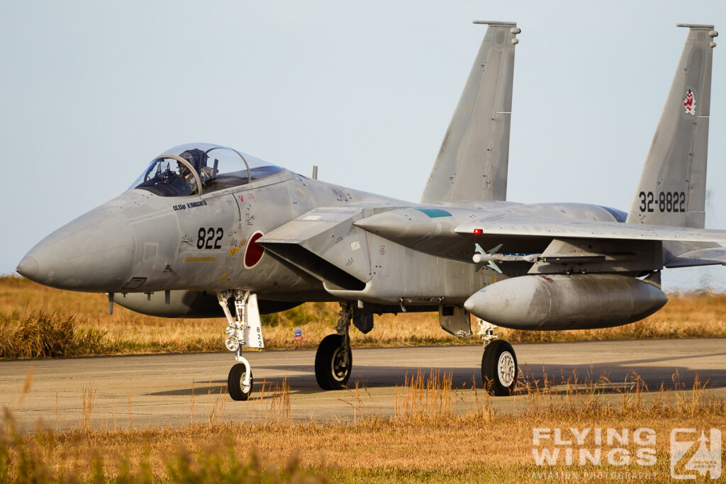 2014, Eagle, F-15, JASDF, Japan, Tsuiki