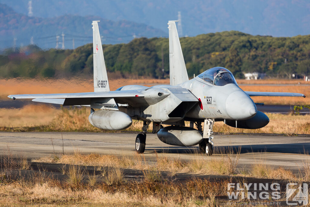 2014, Eagle, F-15, JASDF, Japan, Tsuiki