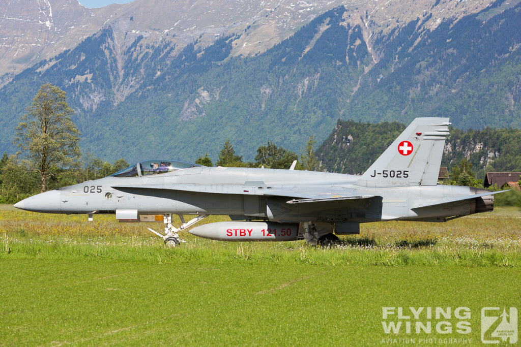 2014, F/A-18, F/A-18C, Hornet, Meiringen, Swiss Air Force, Switzerland