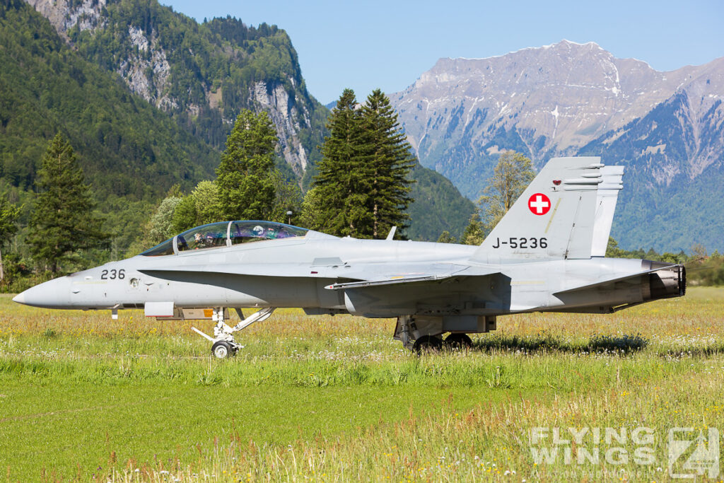 2014, F/A-18, F/A-18C, Hornet, Meiringen, Swiss Air Force, Switzerland