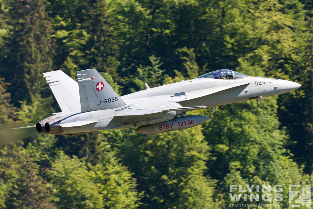 2014, F/A-18, F/A-18C, Hornet, Meiringen, Swiss Air Force, Switzerland