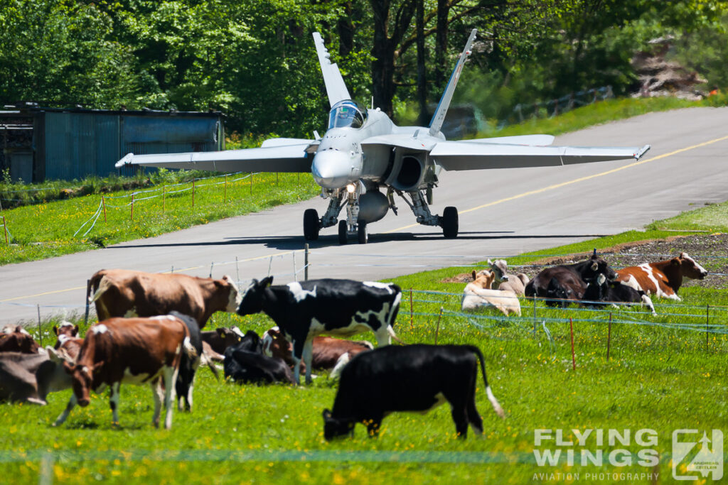 2014, F/A-18, F/A-18C, Hornet, Meiringen, Swiss Air Force, Switzerland