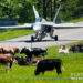 2014, F/A-18, F/A-18C, Hornet, Meiringen, Swiss Air Force, Switzerland