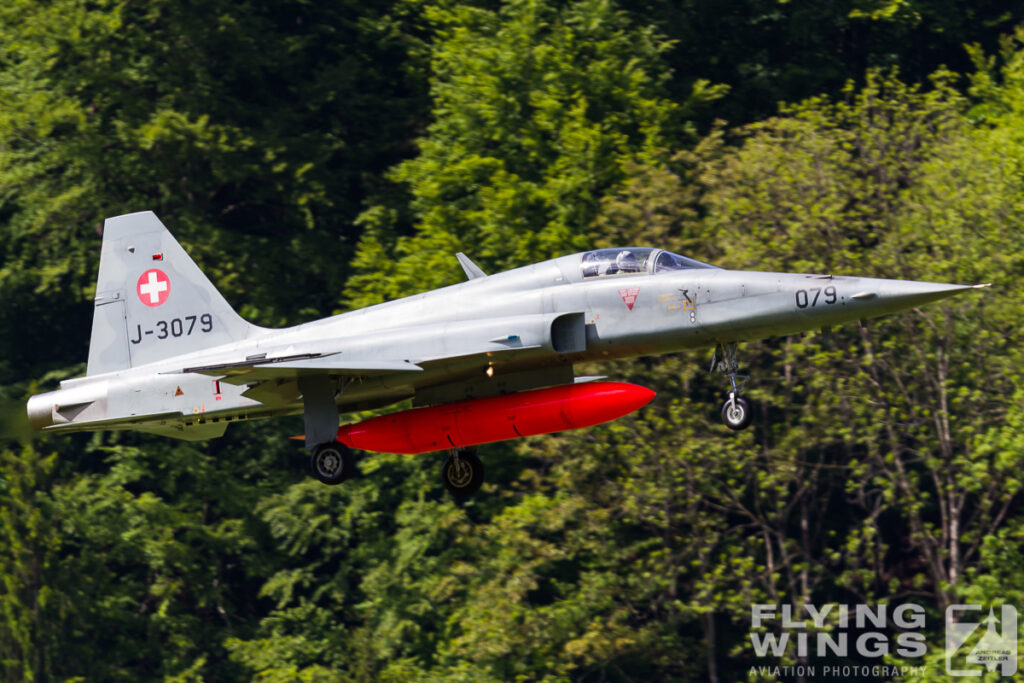 2014, F-5, Meiringen, Swiss Air Force, Switzerland, TIger