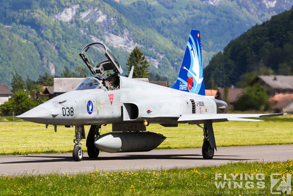 2014, F-5, Meiringen, Swiss Air Force, Switzerland, TIger