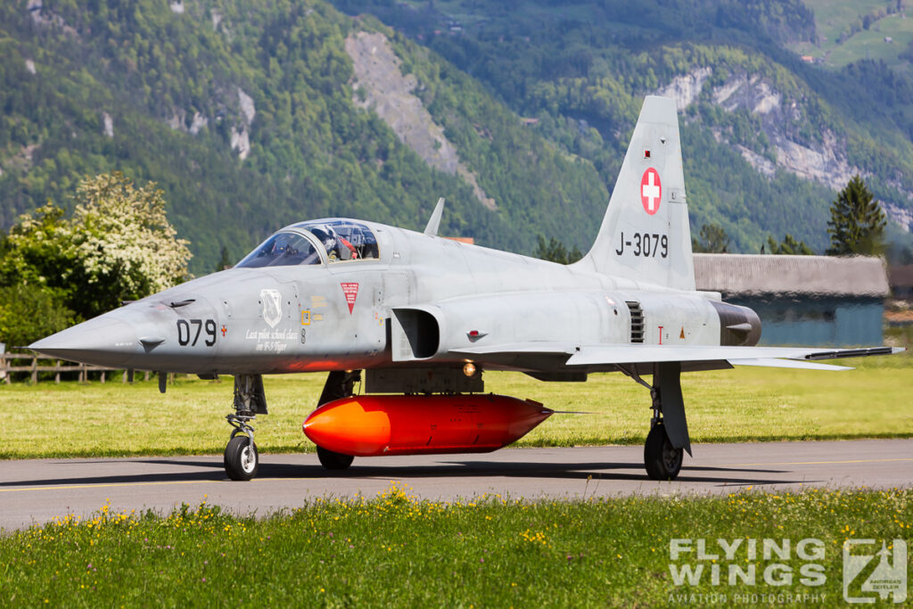 2014, F-5, Meiringen, Swiss Air Force, Switzerland, TIger