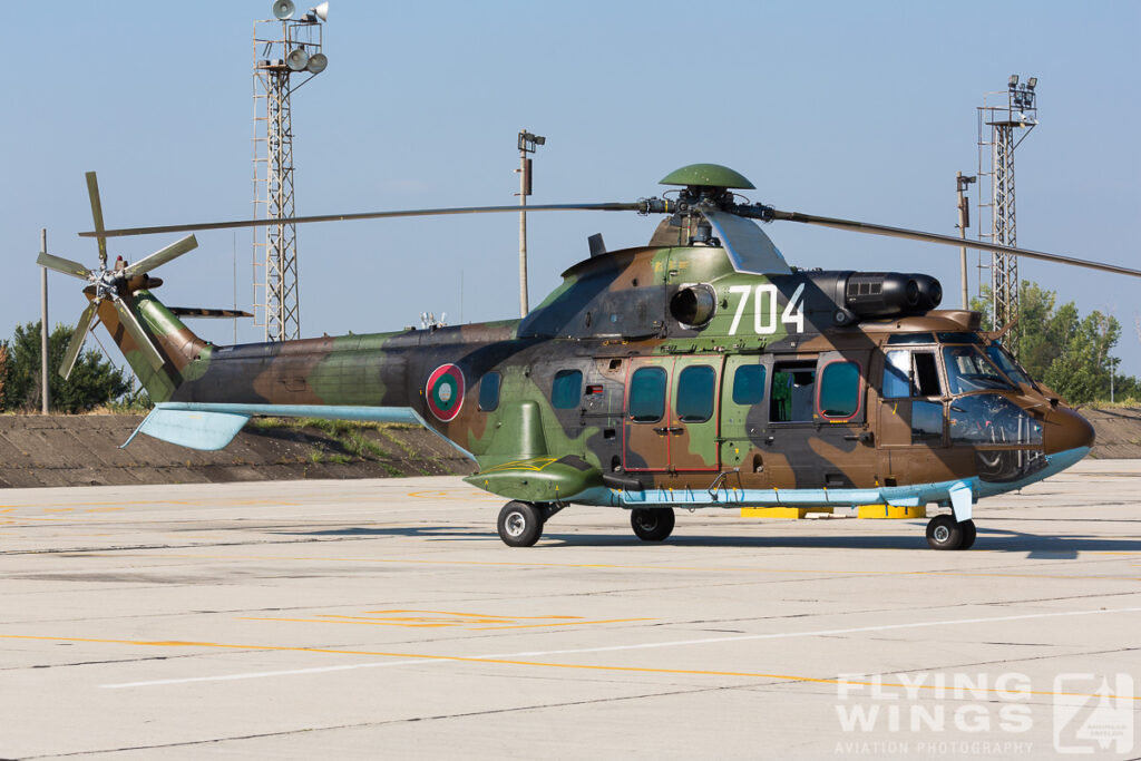 cougar graf ignatievo  1482 zeitler 1024x683 - Thracian Star & Eagle Exercises in Bulgaria