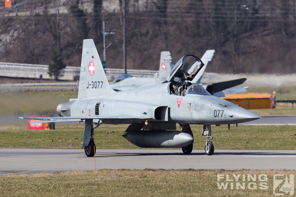 2017, F-5, F-5E, F/A-18C, Hornet, Meiringen, Swiss Air Force, Switzerland, TIger