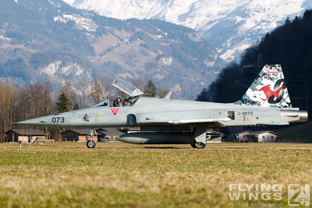 2017, Addio Vandalo, F-5, F-5E, FlSt8, J-3073, Meiringen, Swiss Air Force, Switzerland, TIger, scenery, snow, special scheme