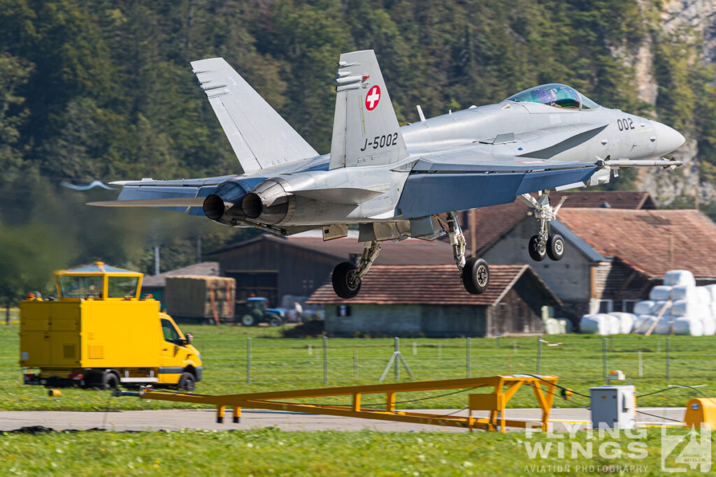 meiringen hornet 0193 zeitler 1024x683 - Scenic Switzerland - Tigers and Hornets fighting at Meiringen