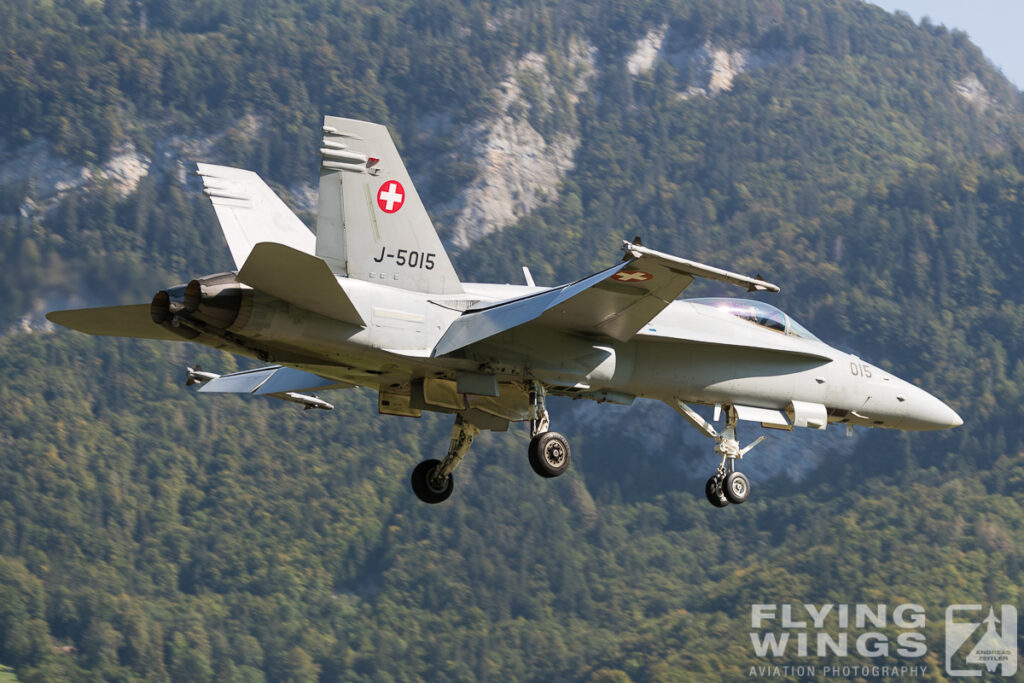 meiringen hornet 0367 zeitler 1024x683 - Scenic Switzerland - Tigers and Hornets fighting at Meiringen