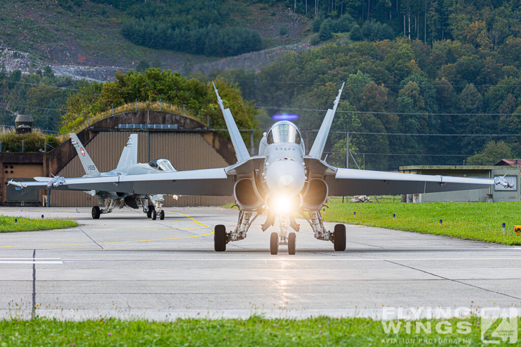 meiringen hornet 8165 zeitler 1024x683 - Scenic Switzerland - Tigers and Hornets fighting at Meiringen