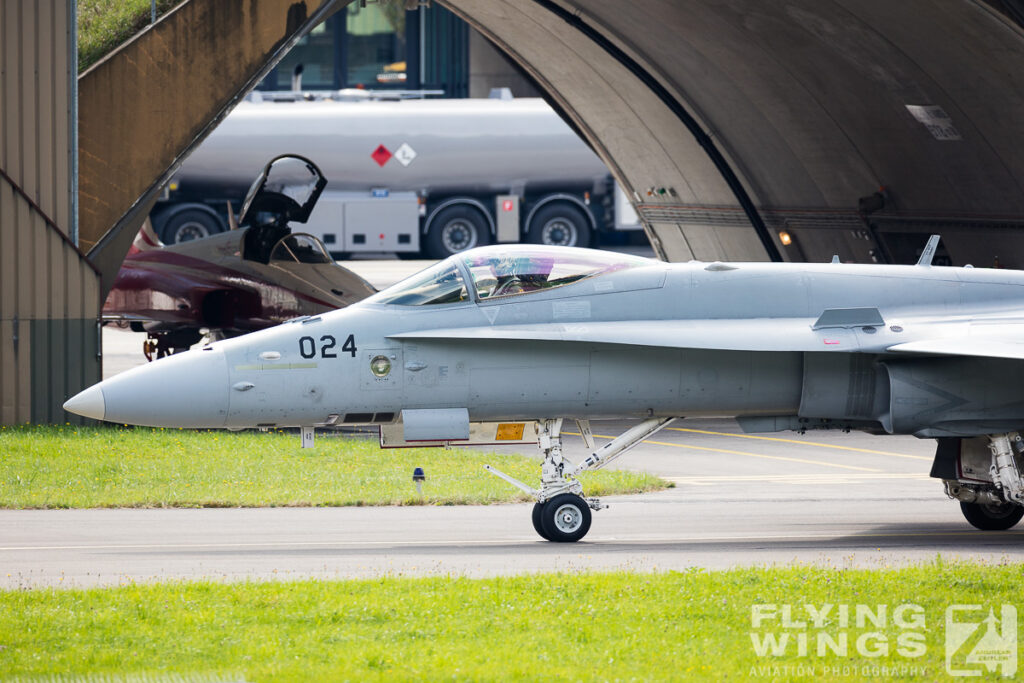 meiringen hornet 8530 zeitler 1024x683 - Scenic Switzerland - Tigers and Hornets fighting at Meiringen