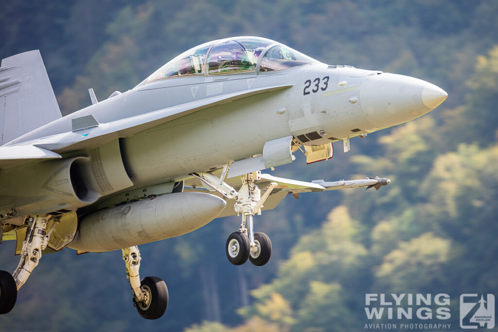 meiringen hornet 8547 zeitler 1024x683 - Scenic Switzerland - Tigers and Hornets fighting at Meiringen