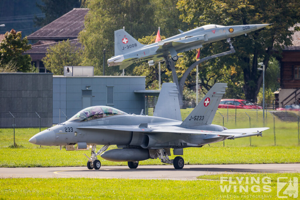 meiringen hornet 8556 zeitler 1024x683 - Scenic Switzerland - Tigers and Hornets fighting at Meiringen