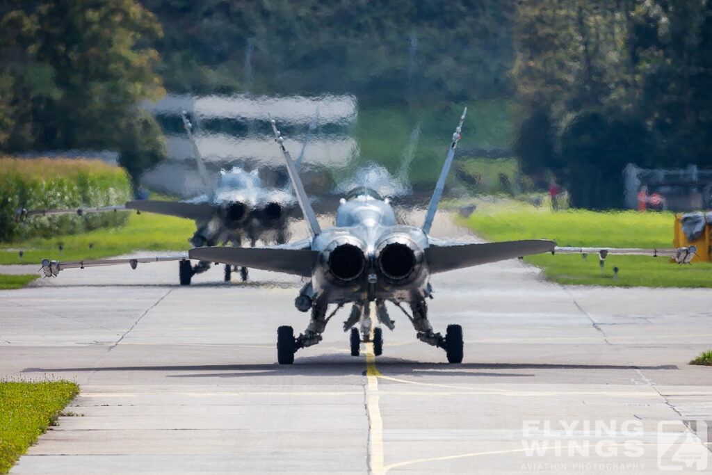 meiringen hornet 8563 zeitler 1024x683 - Scenic Switzerland - Tigers and Hornets fighting at Meiringen