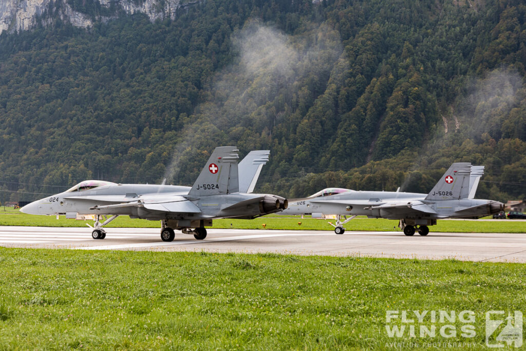 meiringen hornet 8753 zeitler 1024x683 - Scenic Switzerland - Tigers and Hornets fighting at Meiringen