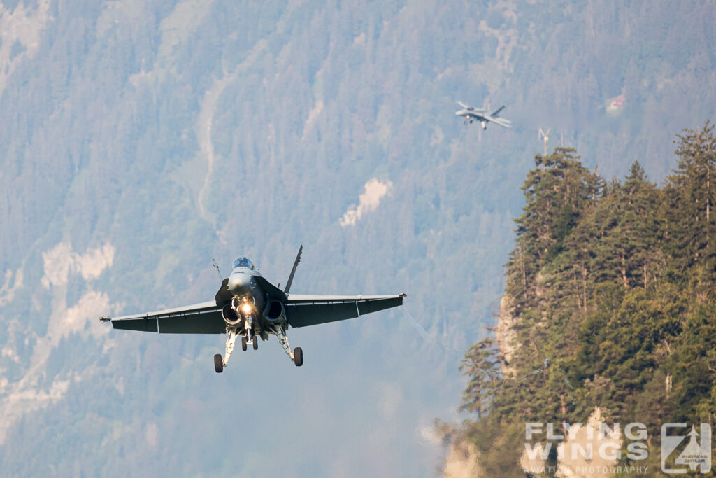 meiringen hornet 8765 zeitler 1024x683 - Scenic Switzerland - Tigers and Hornets fighting at Meiringen