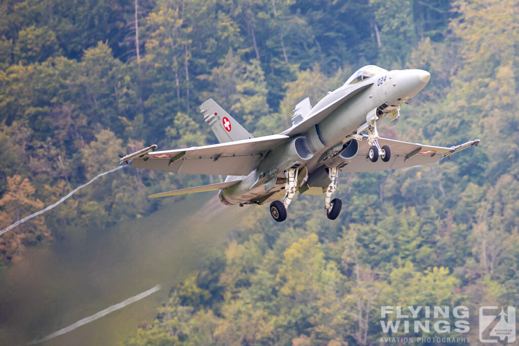 meiringen hornet 8892 zeitler 1024x683 - Scenic Switzerland - Tigers and Hornets fighting at Meiringen