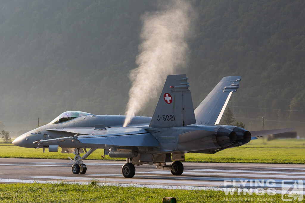 meiringen hornet 9160 zeitler 1024x683 - Scenic Switzerland - Tigers and Hornets fighting at Meiringen