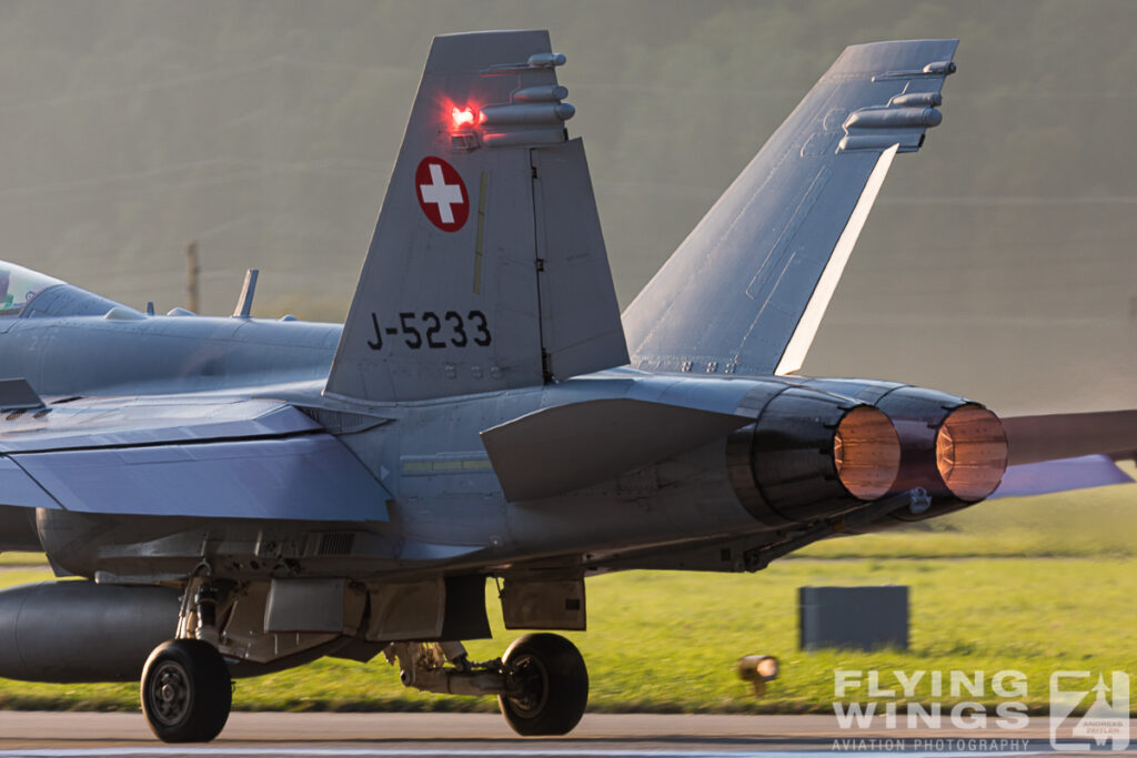 meiringen hornet 9175 zeitler 1024x683 - Scenic Switzerland - Tigers and Hornets fighting at Meiringen