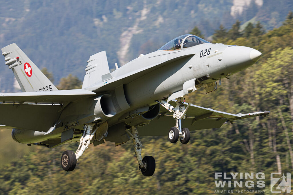 meiringen hornet 9267 zeitler 1024x683 - Scenic Switzerland - Tigers and Hornets fighting at Meiringen