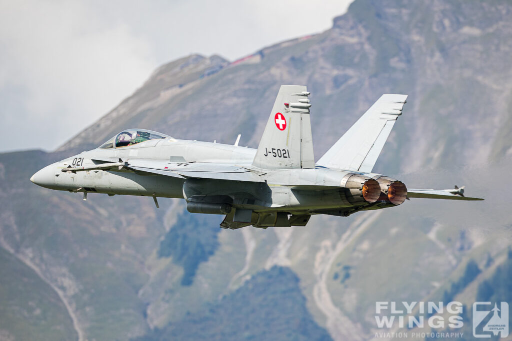 meiringen hornet 9303 zeitler 1024x683 - Scenic Switzerland - Tigers and Hornets fighting at Meiringen