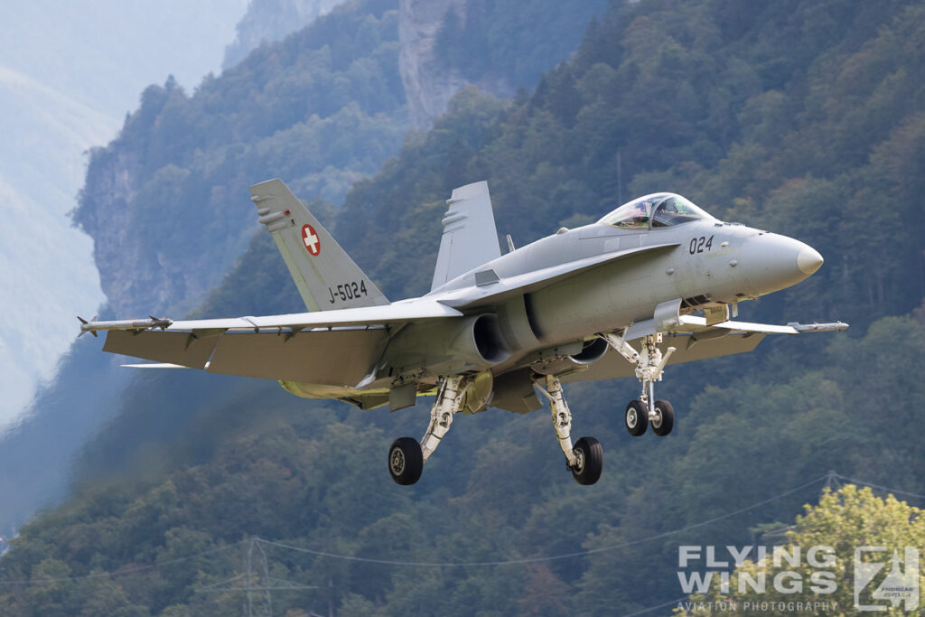 meiringen hornet 9368 zeitler 1024x683 - Scenic Switzerland - Tigers and Hornets fighting at Meiringen